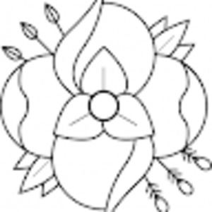 Meet your Posher, Superfrumper